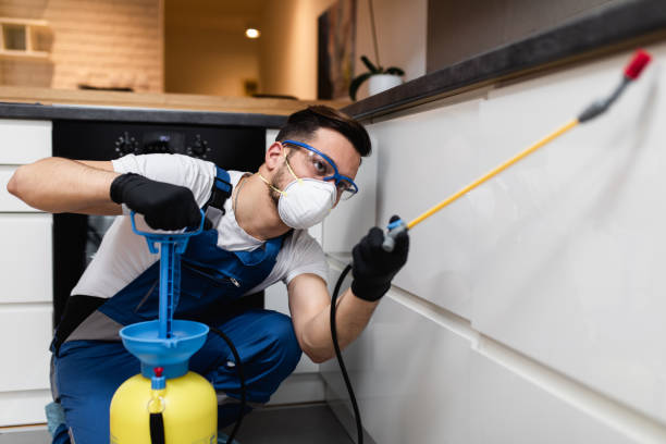  Cle Elum, WA Pest Control Pros