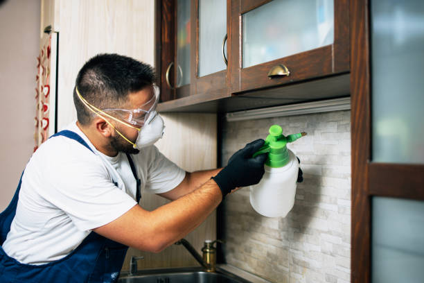 Best Residential Pest Control  in Cle Elum, WA