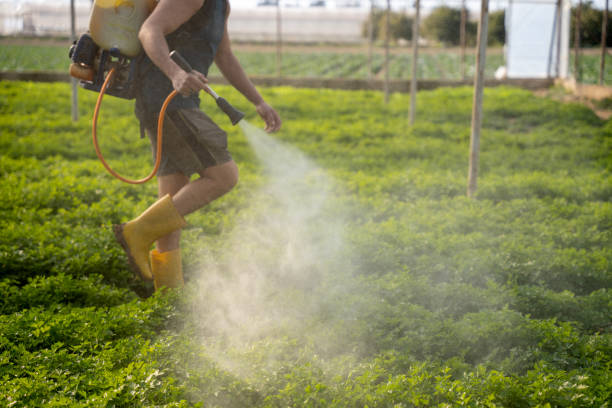 Pest Prevention Services in Cle Elum, WA