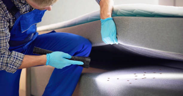 Best Pest Control Near Me  in Cle Elum, WA