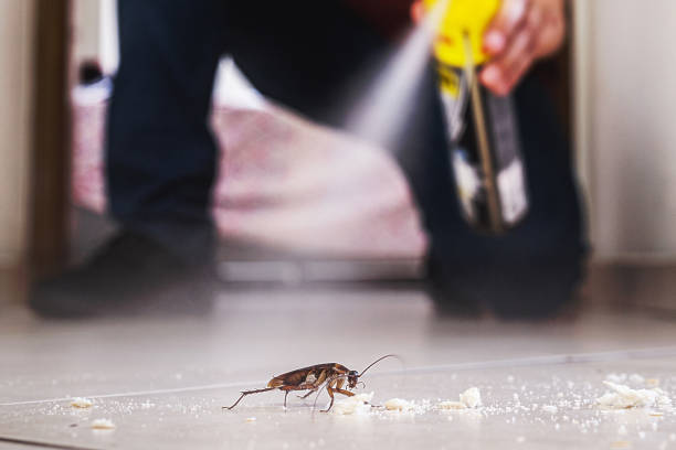 Best Emergency Pest Control  in Cle Elum, WA