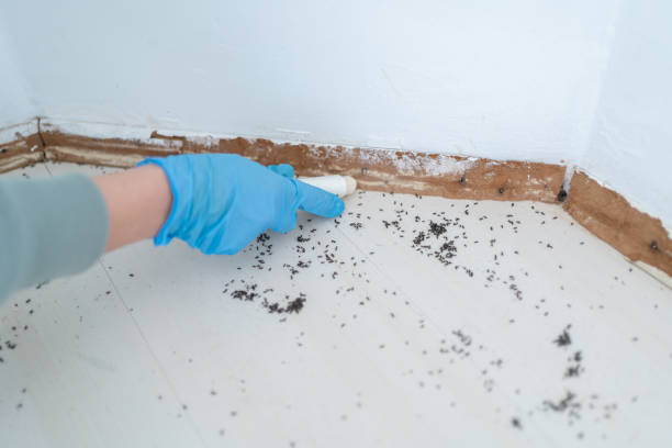Best Pest Removal Services  in Cle Elum, WA